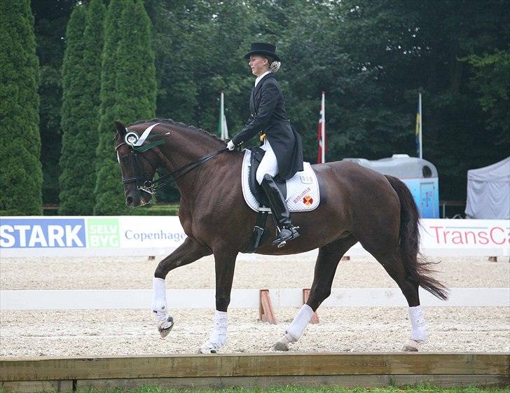 CDI3*  parken 2010 Line Grubak og Zorina Z billede 22