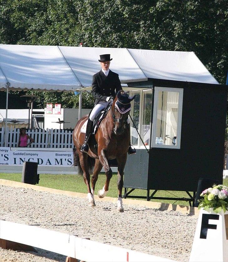 CDI3*  parken 2010 Line Grubak og Zorina Z billede 23