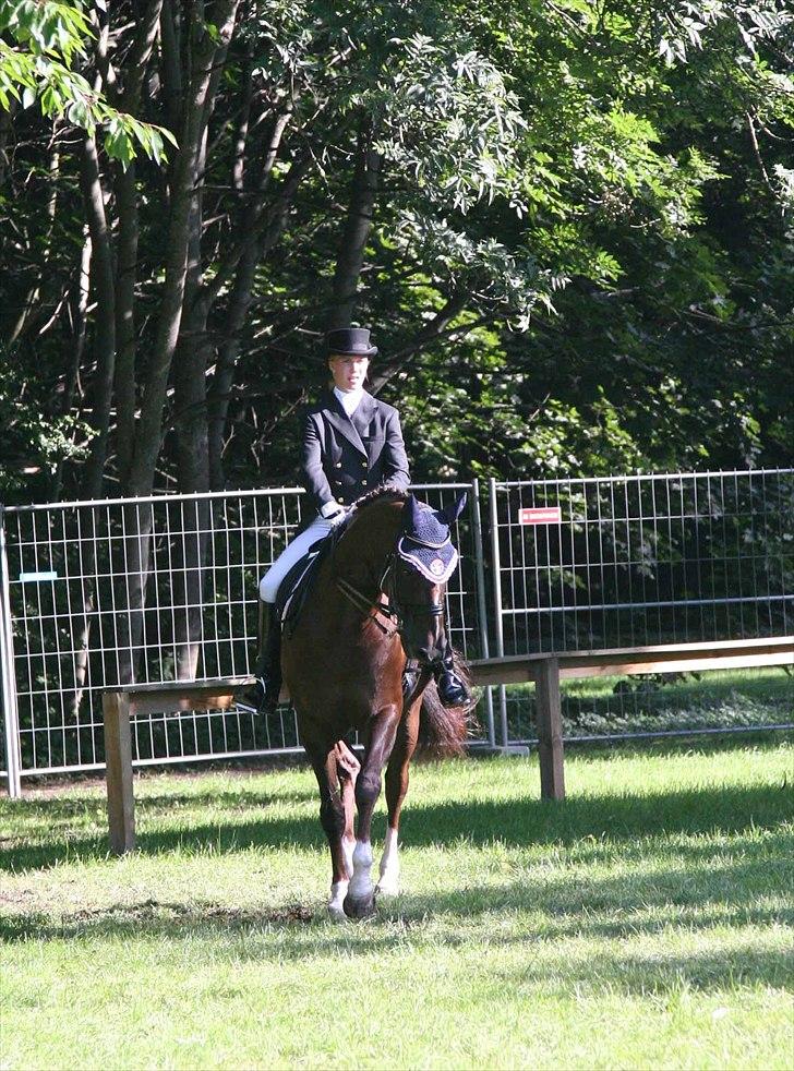CDI3*  parken 2010 Line Grubak og Zorina Z billede 24