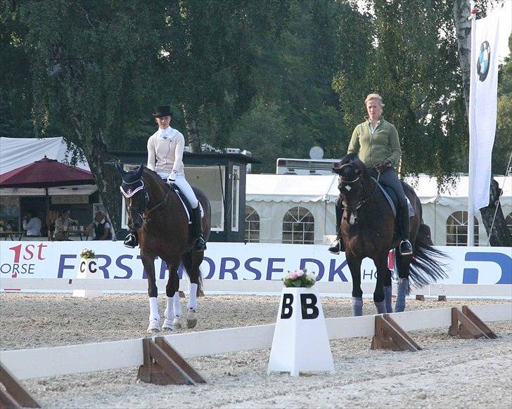 CDI3*  parken 2010 Line Grubak og Zorina Z billede 25