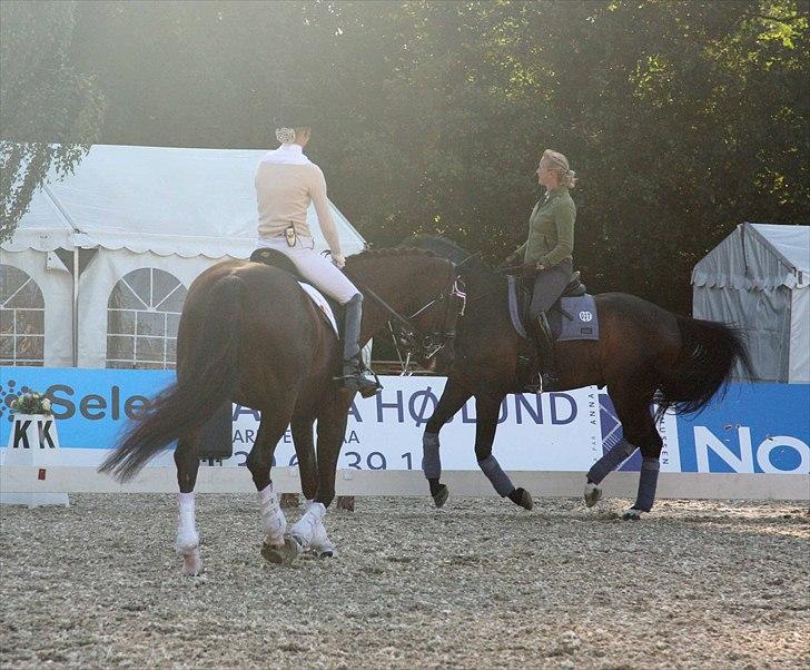 CDI3*  parken 2010 Line Grubak og Zorina Z billede 26