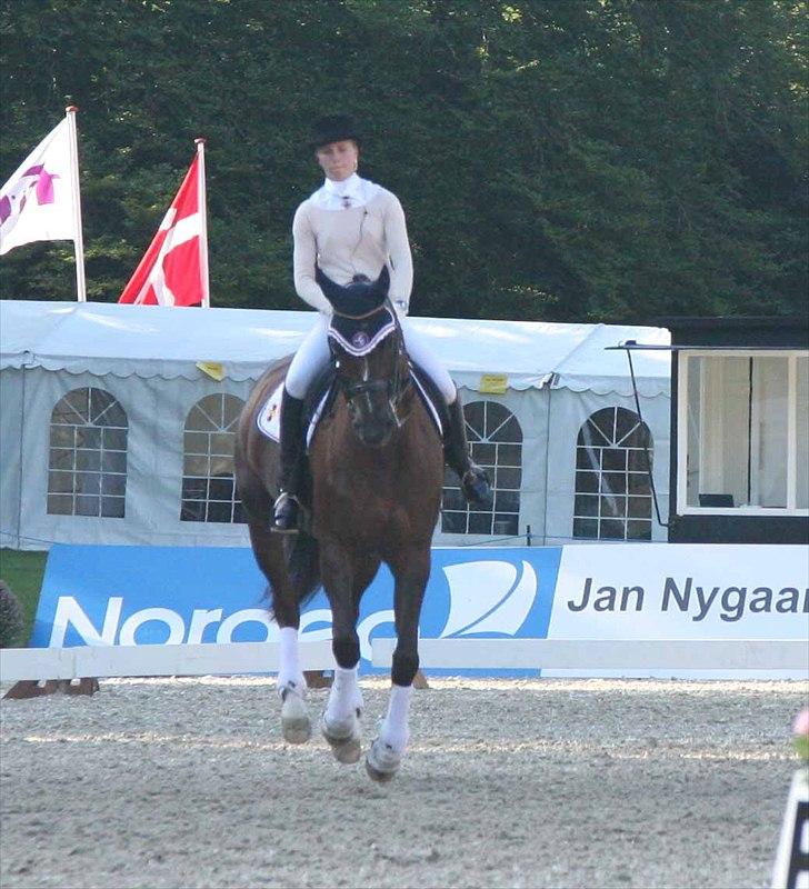 CDI3*  parken 2010 Line Grubak og Zorina Z billede 27