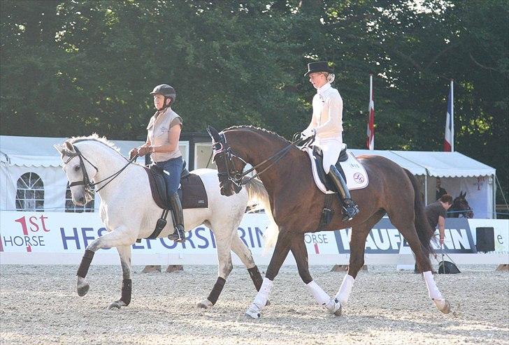 CDI3*  parken 2010 Line Grubak og Zorina Z billede 28