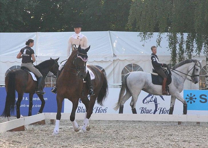 CDI3*  parken 2010 Line Grubak og Zorina Z billede 29