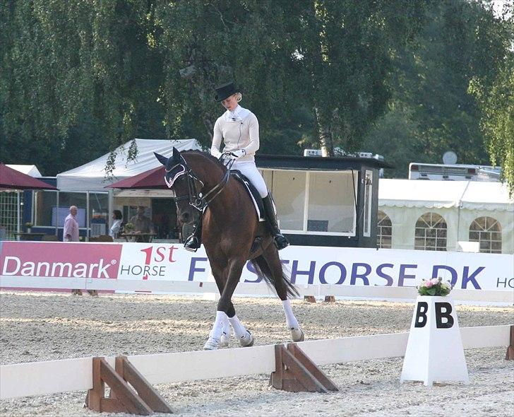 CDI3*  parken 2010 Line Grubak og Zorina Z billede 30