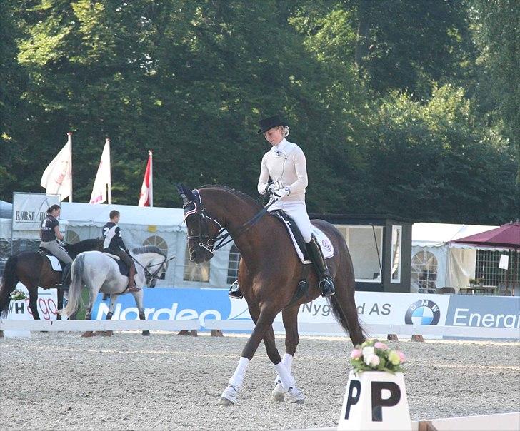 CDI3*  parken 2010 Line Grubak og Zorina Z billede 31