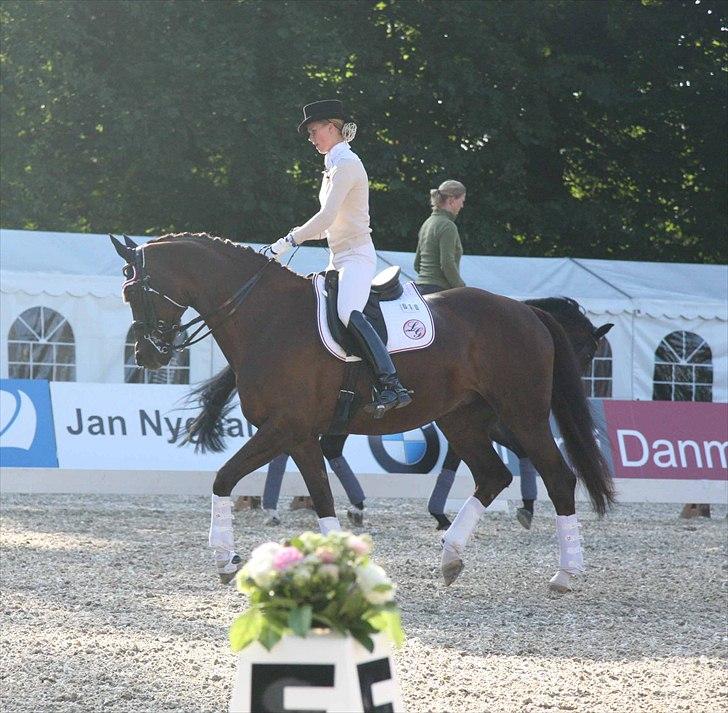 CDI3*  parken 2010 Line Grubak og Zorina Z billede 32