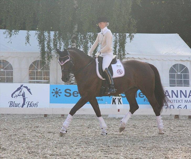 CDI3*  parken 2010 Line Grubak og Zorina Z billede 33