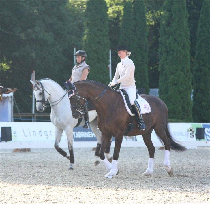CDI3*  parken 2010 Line Grubak og Zorina Z billede 34