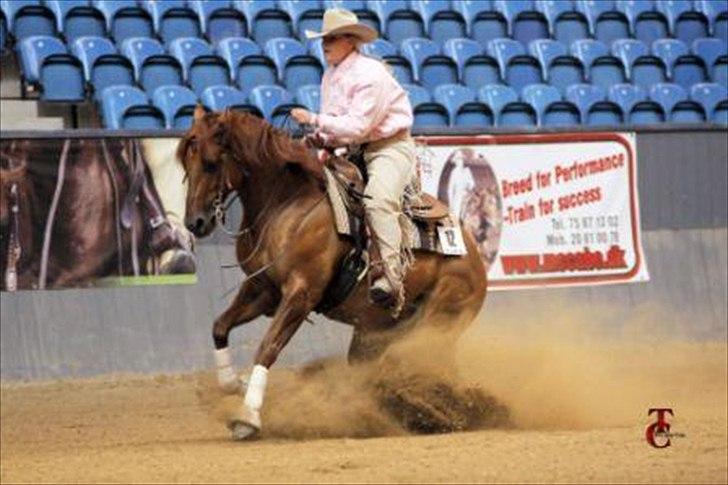 Min dejlige træner <3 Jonna McCabe <3 :D - Jonna & Show Me Whiz <3 billede 2