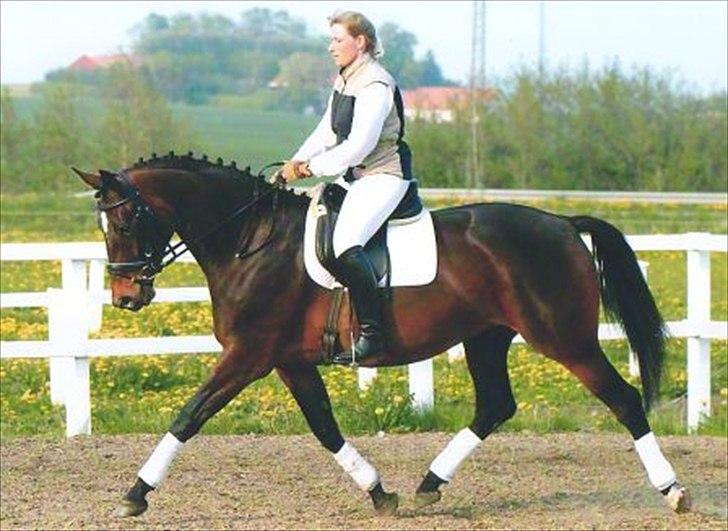 Min dejlige træner <3 Jonna McCabe <3 :D - Dressur mule efter 3 måneders træning <3 billede 15