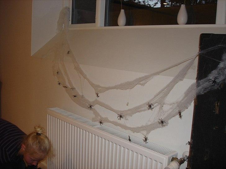 Emma&mig holdte 11 års fødselsdag. - Vores pynt;) skulle forstille spindelvæv. men det blev ikke så godt;) billede 47