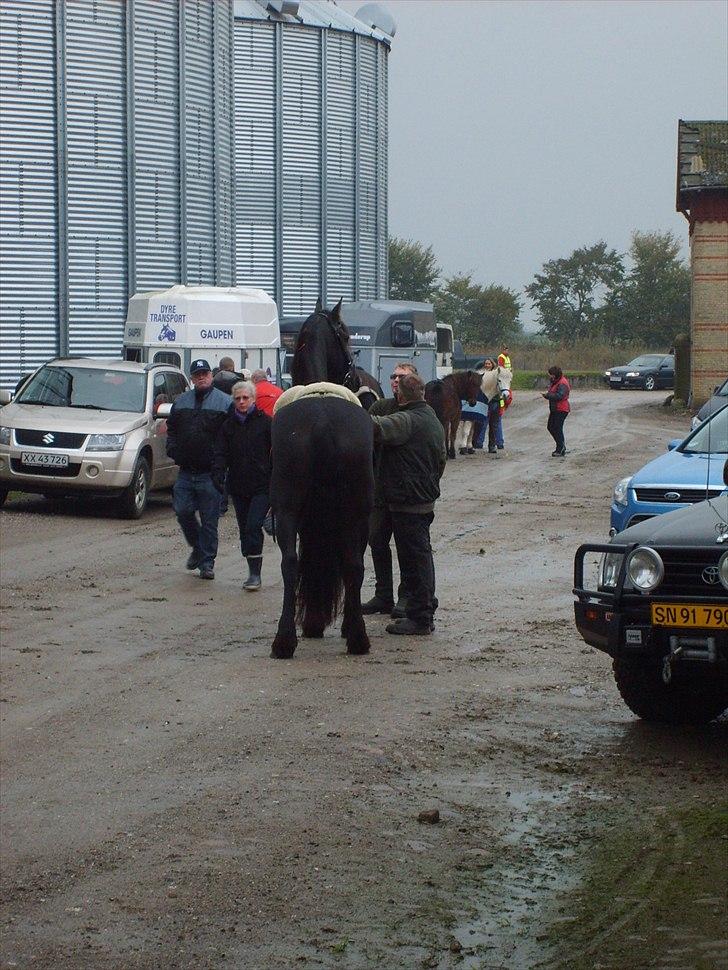 Svenstrup Gods d. 23/10-201. billede 2