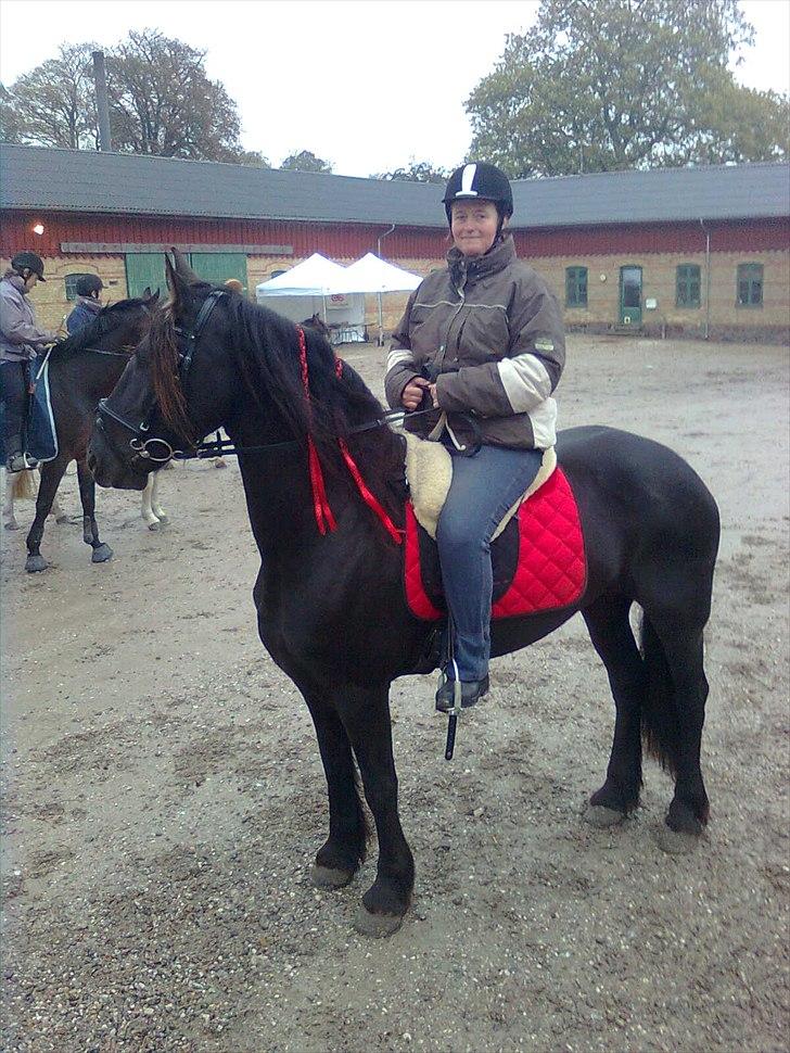 Svenstrup Gods d. 23/10-201. - Mig på Griet lige før start. billede 1