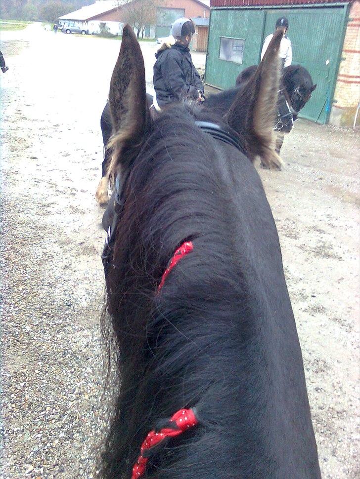 Svenstrup Gods d. 23/10-201. - Griet set ovenfra. billede 5