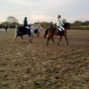 Glamsbjerg udv klubstævne 30 oktober 2010