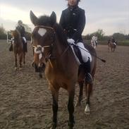 Glamsbjerg udv klubstævne 30 oktober 2010