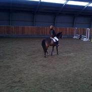 Glamsbjerg udv klubstævne 30 oktober 2010