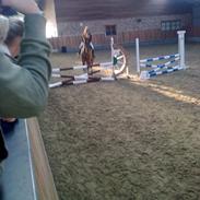 Glamsbjerg udv klubstævne 30 oktober 2010