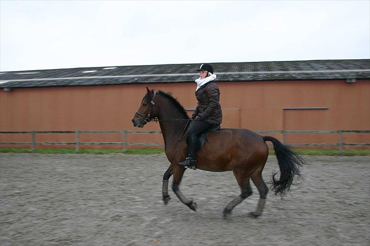 Ridning af den lille fede billede 2