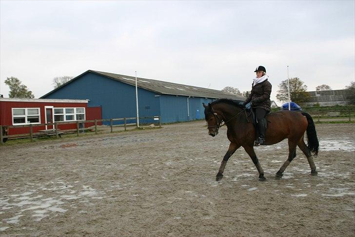 Ridning af den lille fede billede 1