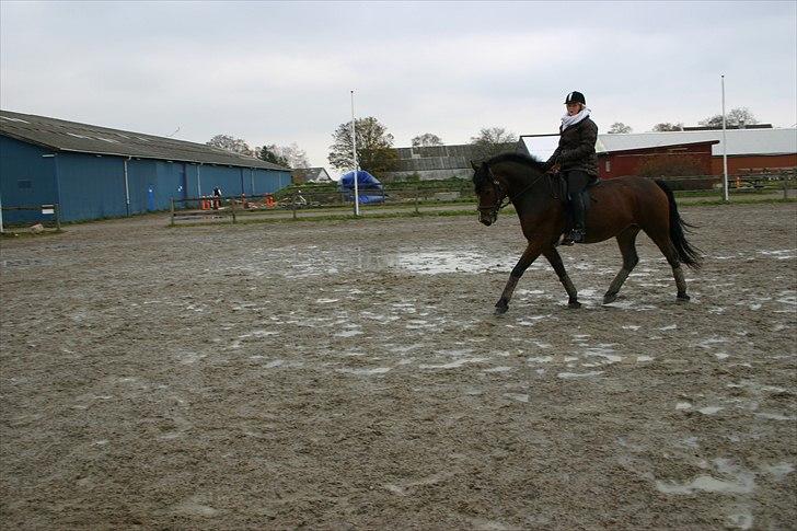 Ridning af den lille fede billede 3