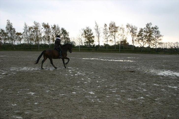 Ridning af den lille fede billede 4