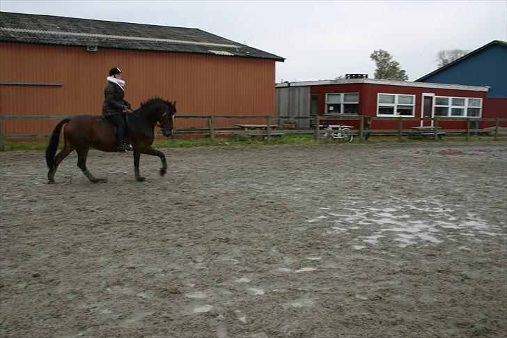 Ridning af den lille fede billede 5