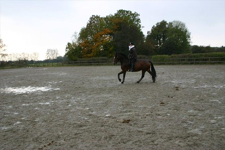 Ridning af den lille fede billede 7