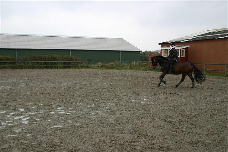 Ridning af den lille fede billede 8