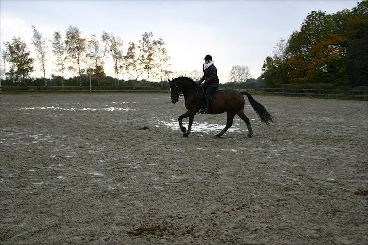 Ridning af den lille fede billede 9