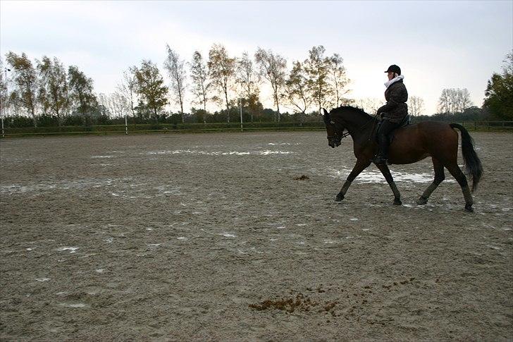 Ridning af den lille fede billede 10