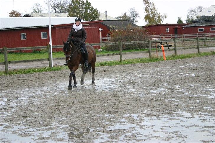 Ridning af den lille fede billede 11