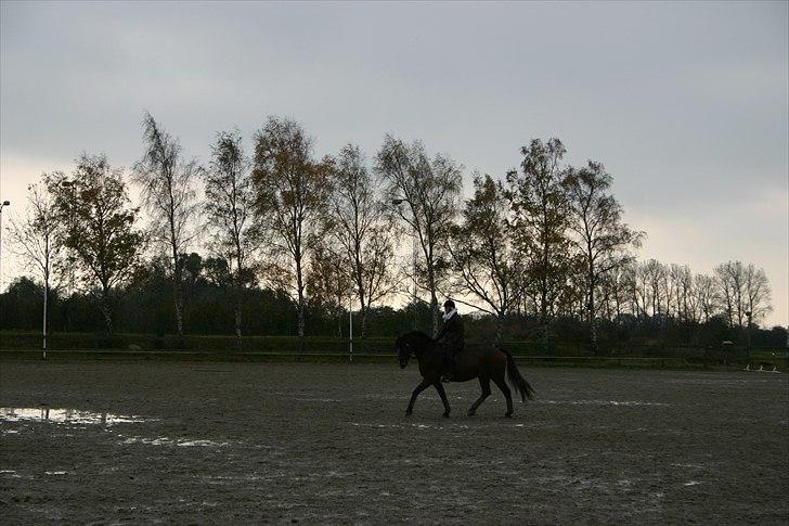 Ridning af den lille fede billede 12