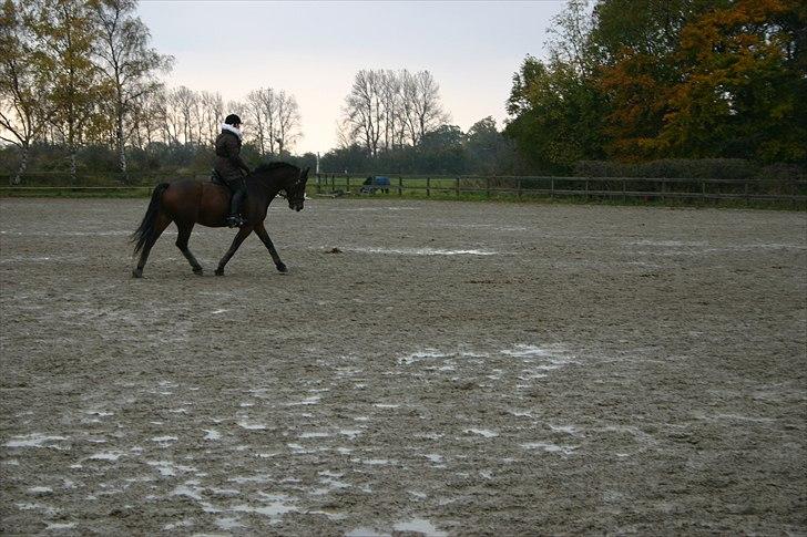 Ridning af den lille fede billede 15