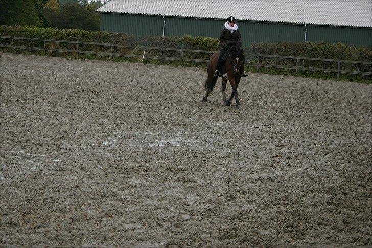 Ridning af den lille fede billede 16