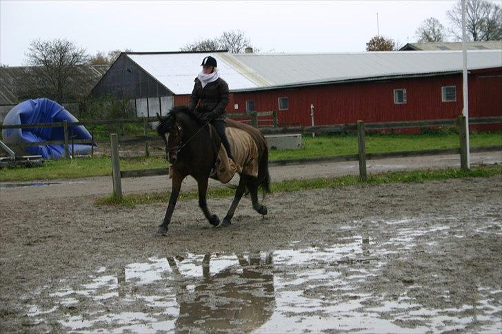 Ridning af den lille fede billede 17