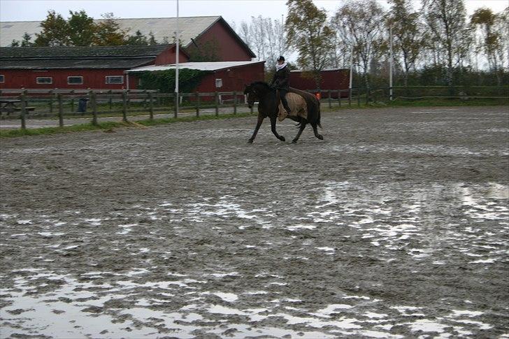 Ridning af den lille fede billede 18