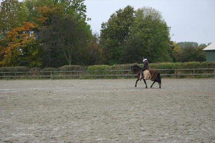 Ridning af den lille fede billede 19