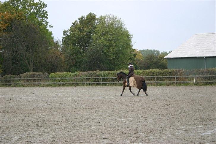 Ridning af den lille fede billede 20