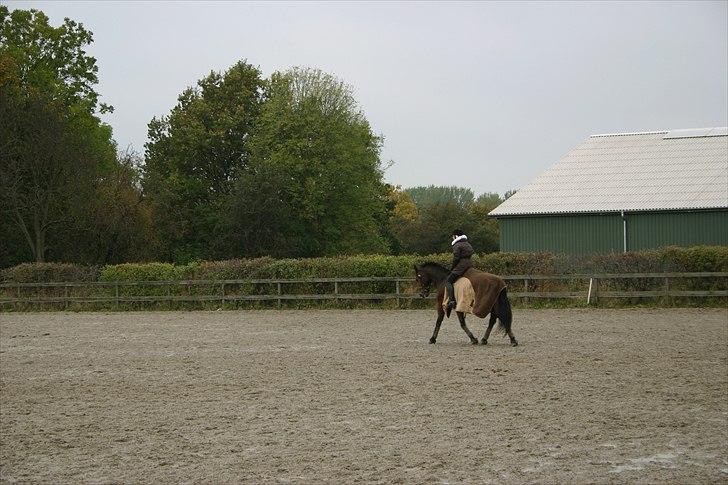 Ridning af den lille fede billede 21