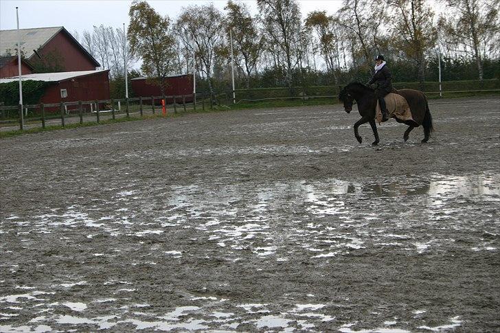 Ridning af den lille fede billede 22