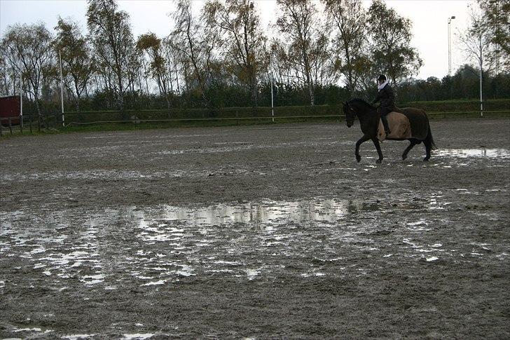 Ridning af den lille fede billede 23