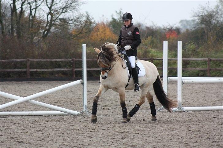 Stævne I Glamsbjerg rideklub billede 5