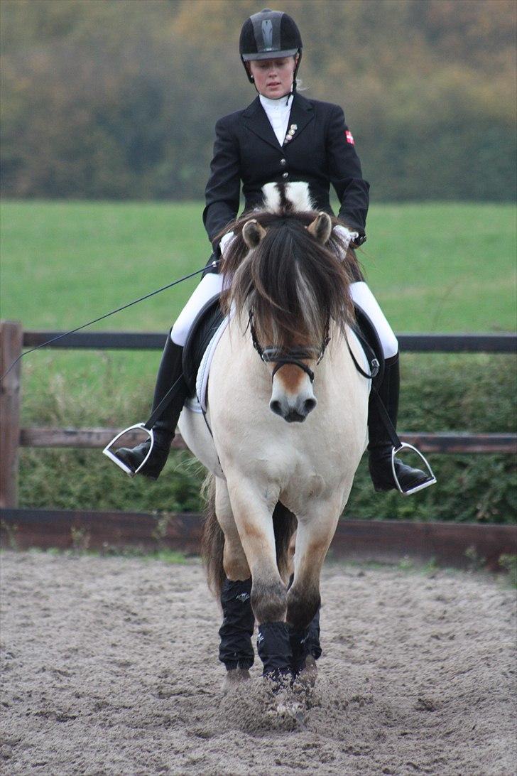 Stævne I Glamsbjerg rideklub billede 6