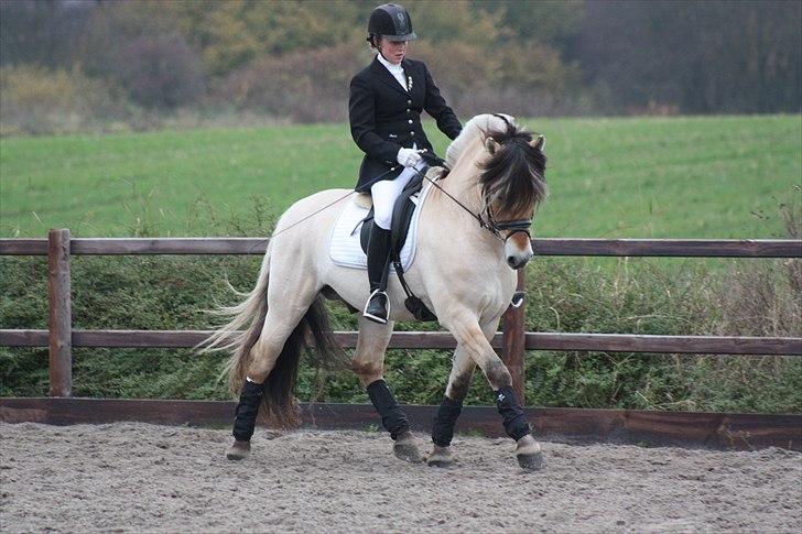 Stævne I Glamsbjerg rideklub billede 1