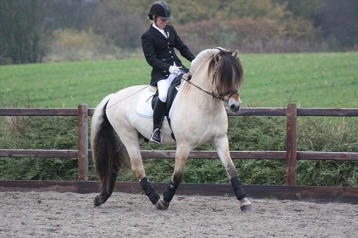 Stævne I Glamsbjerg rideklub billede 7