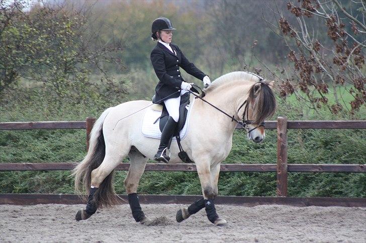 Stævne I Glamsbjerg rideklub billede 11