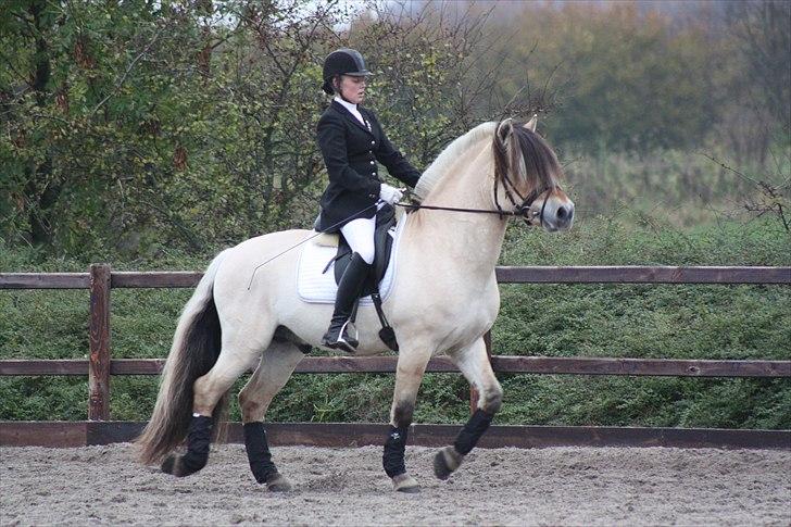 Stævne I Glamsbjerg rideklub - Man er vel ikke herre for ingen ting.... Skal lige følge med i det hele, når man nu er kommet i byen :) billede 12