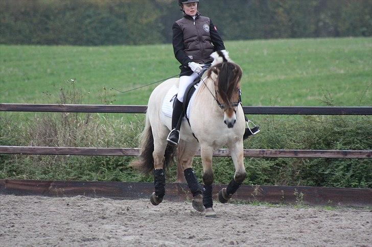 Stævne I Glamsbjerg rideklub billede 14